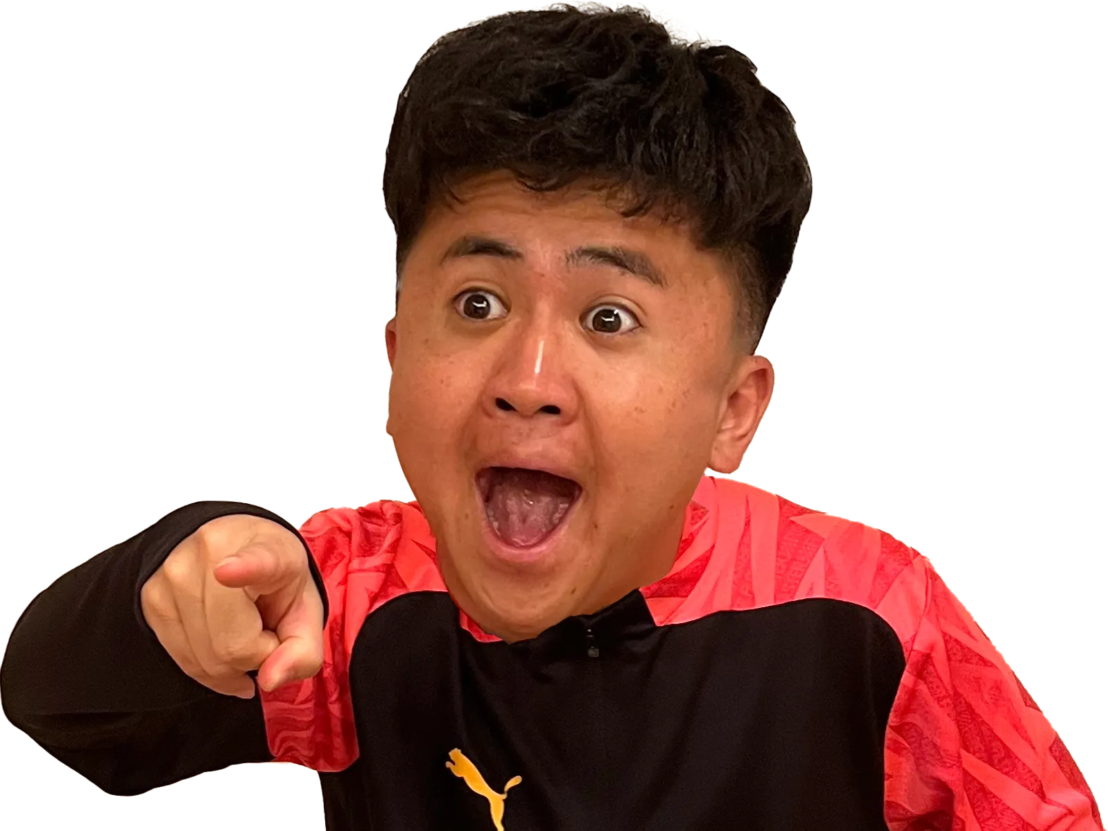 ウンパルンパさんの画像